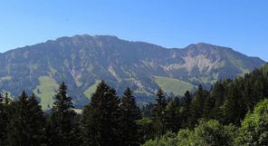 Ausblick