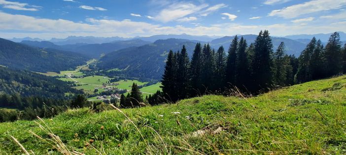 Natur pur