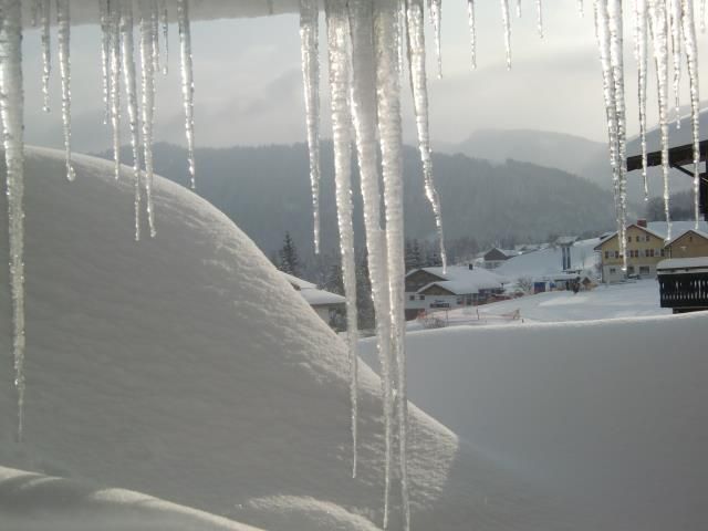 Blick auf den Kirchhang