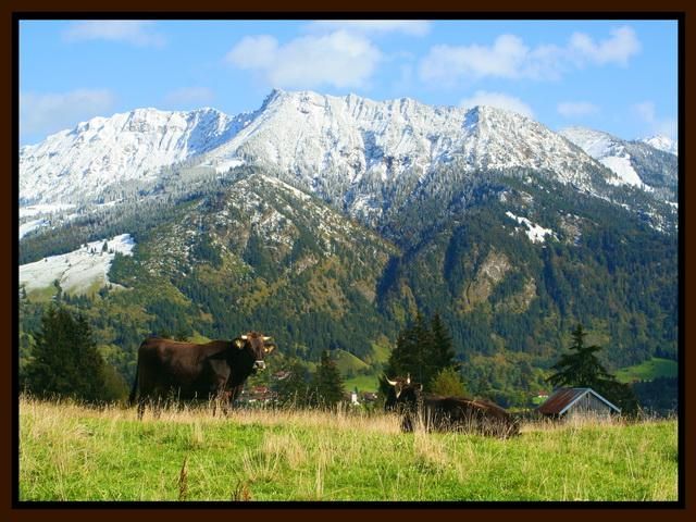 Frühling Iselerblick