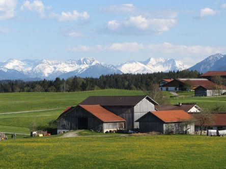Unser Bauernhof mit Bergblick