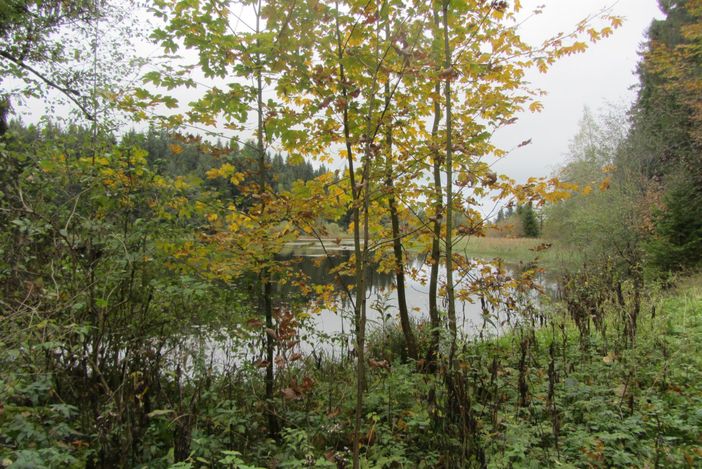 am Schlossweiher