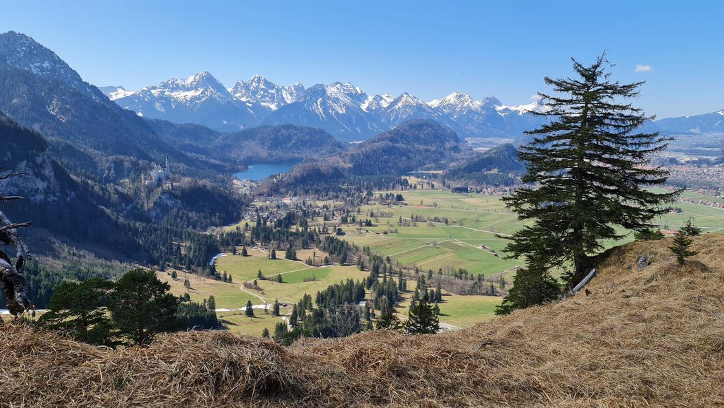 Der Allgäuer Königswinkel mit Neuschwanstein