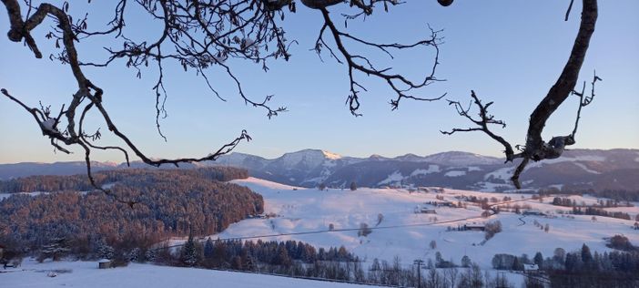 Ein Wintertraum