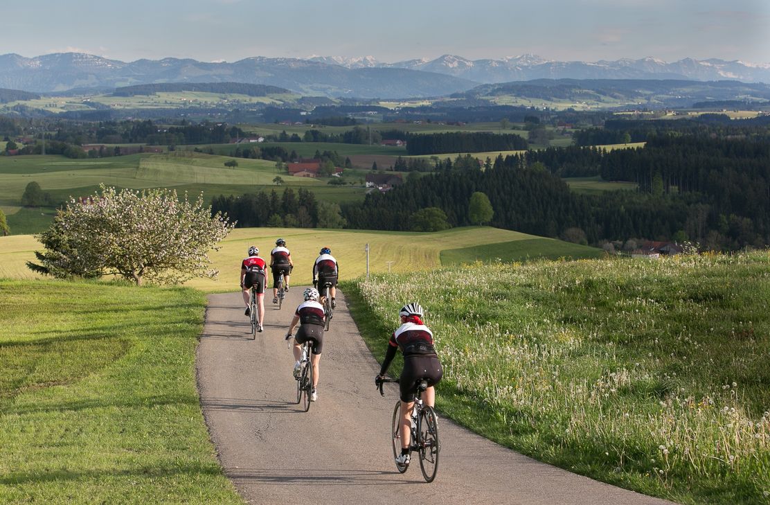 Rennradfahrer mit Alpenpanorama