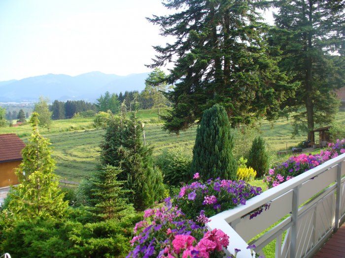 Blick vom Balkon