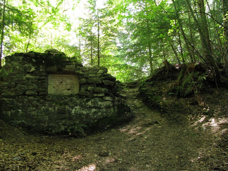 Ruine Hohenegg