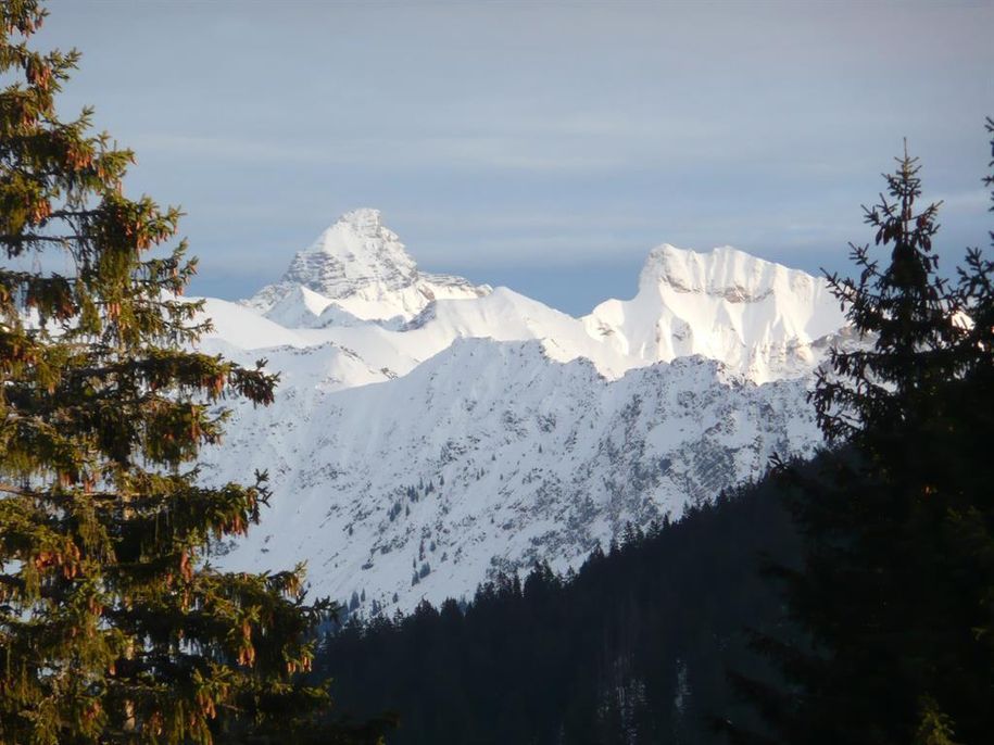Hochvogel u.  Schneck
