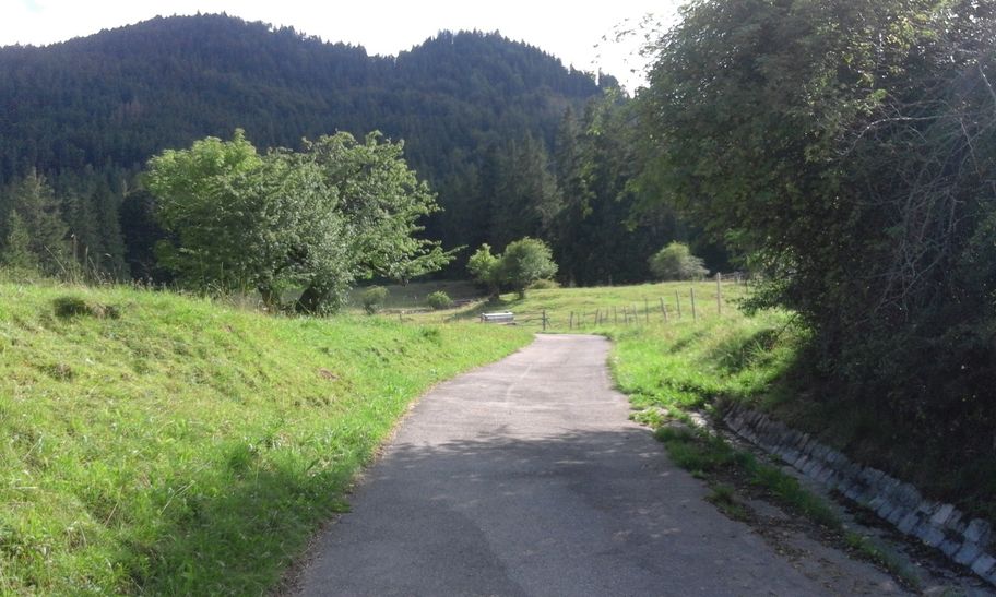 Wanderweg durch die Viehweide