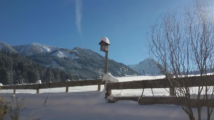 Ausblick auf das Rubihorn