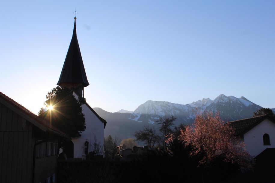 Morgenstimmung vom Wohnzimmer Richtung Osten