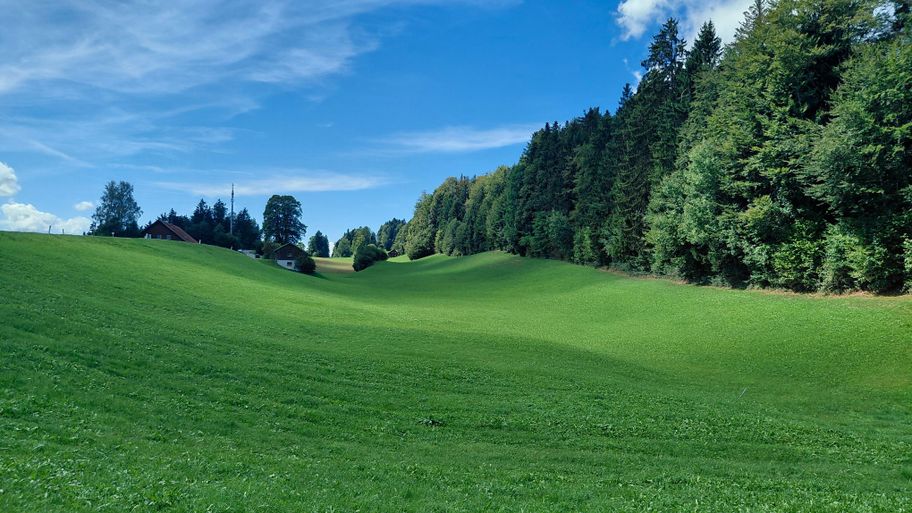 Sanfte Hügellandschaft