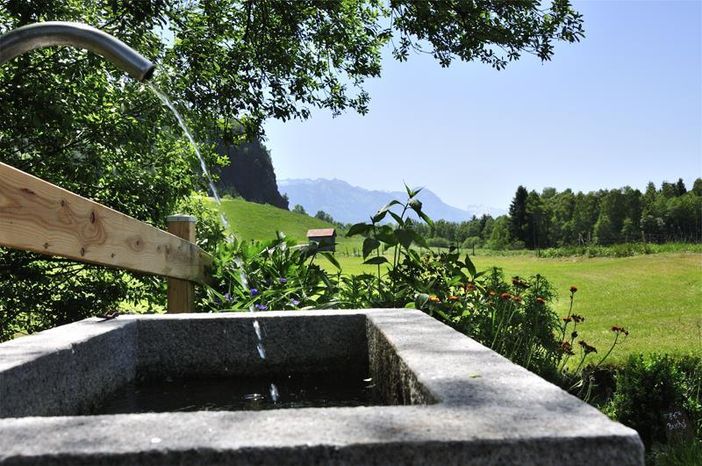 birkenhof_brunnen