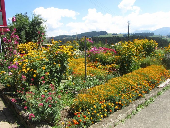Unser Bauerngarten