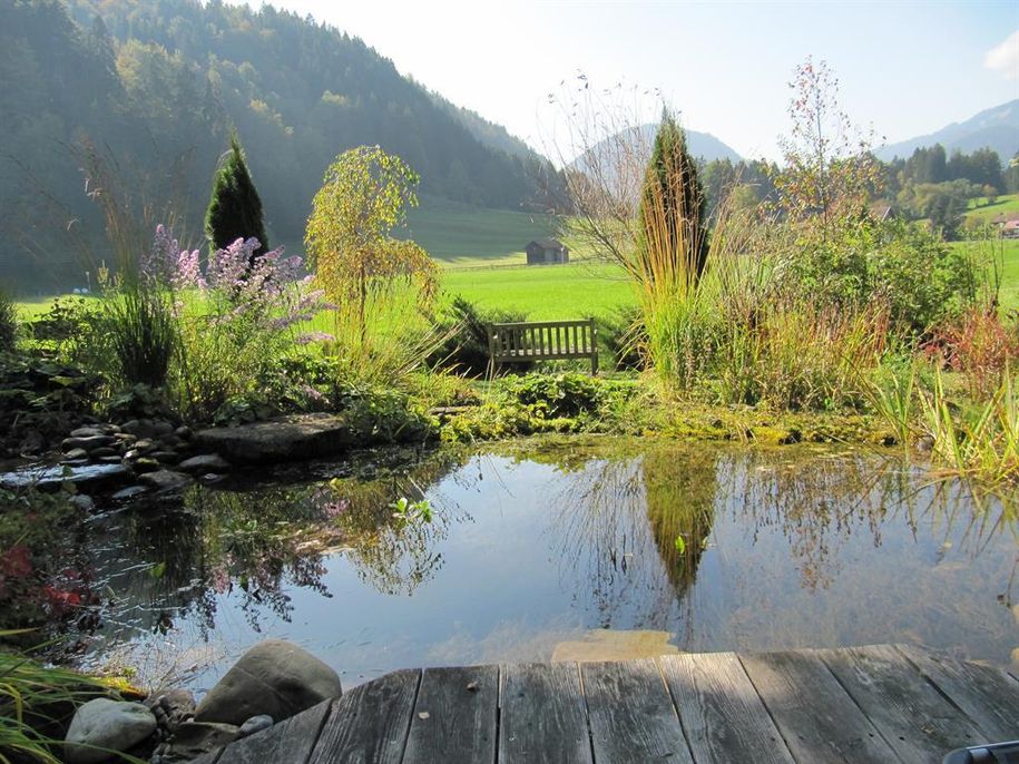 Am Teich