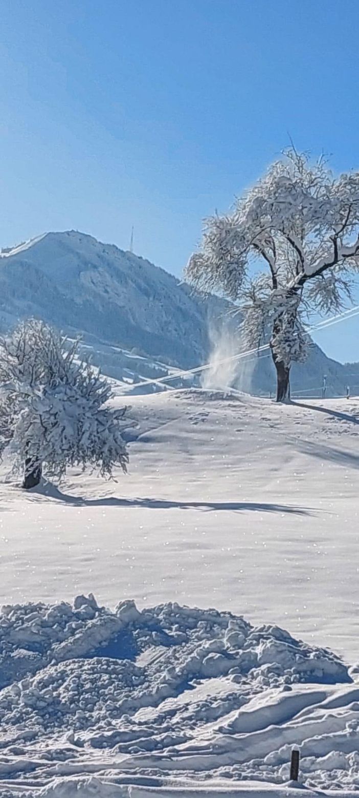 Winterlandschaft