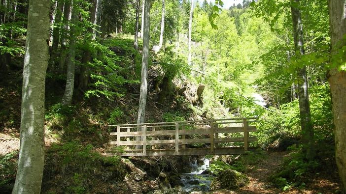 Wanderweg am Haus