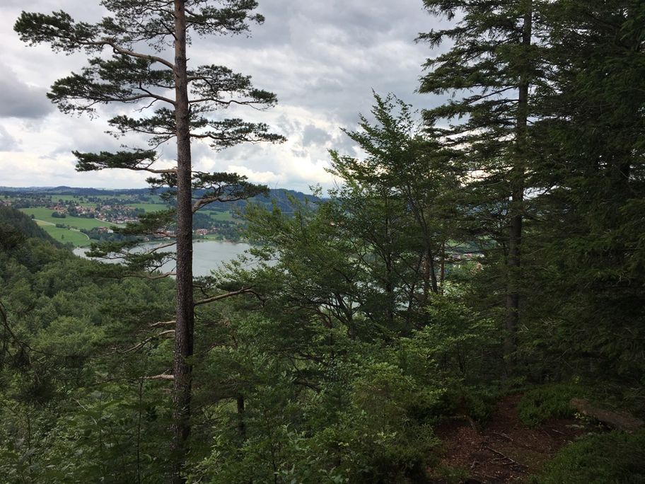 Blick auf den Weißensee vom Zwei Seen Blick