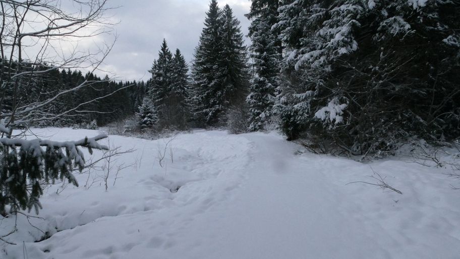 Durch das Schlettermoos zur Jugetalpe