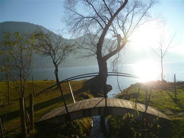 am großen Alpsee