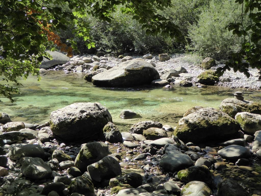 Ruhe_am_Bach
