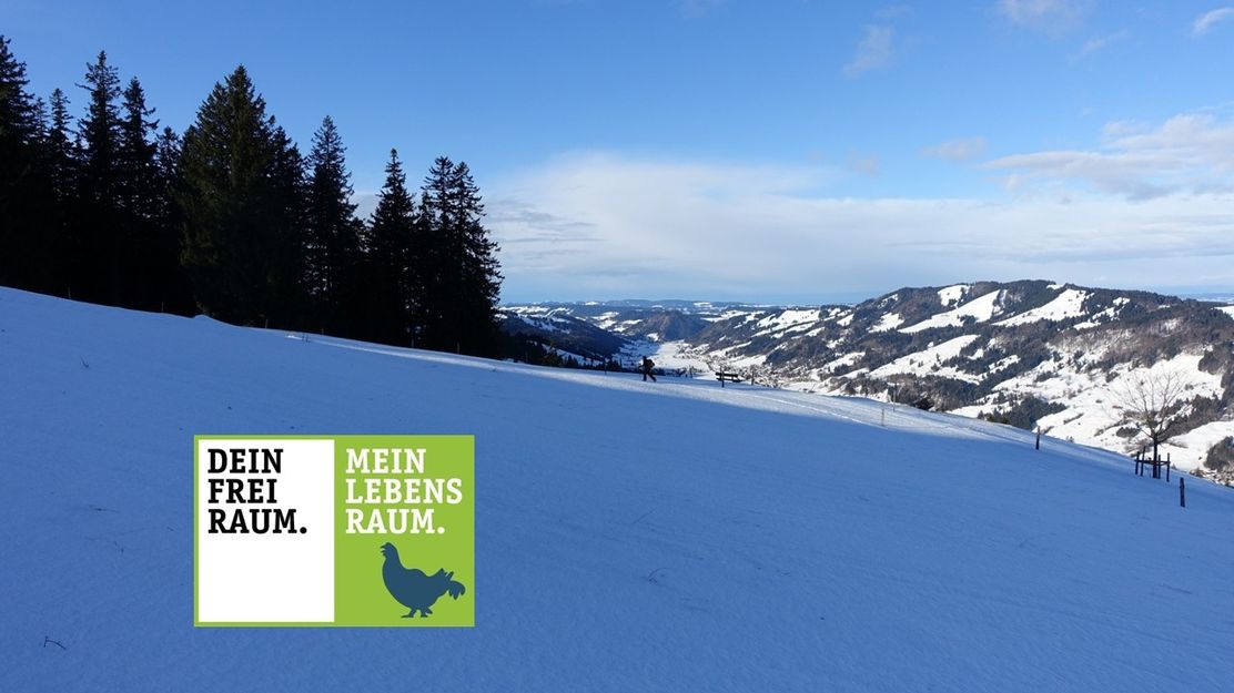 Vom Alpsee auf's Gschwender Horn (1.450m)