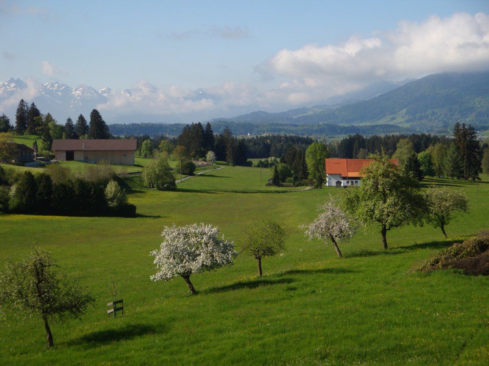 Unsere Aussicht im Frühling