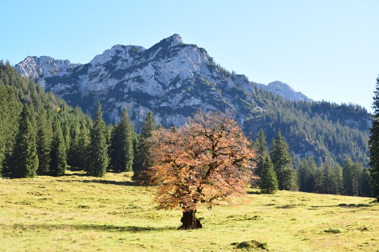 Ausblick auf dem Weg zur Vilser Alm