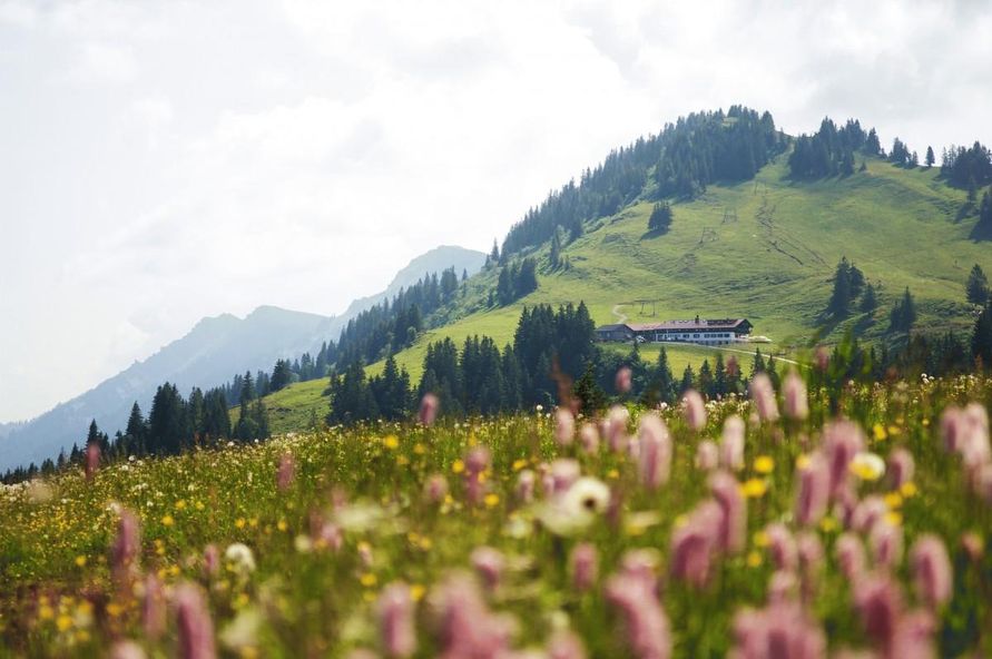 Blick vom Windbuckel