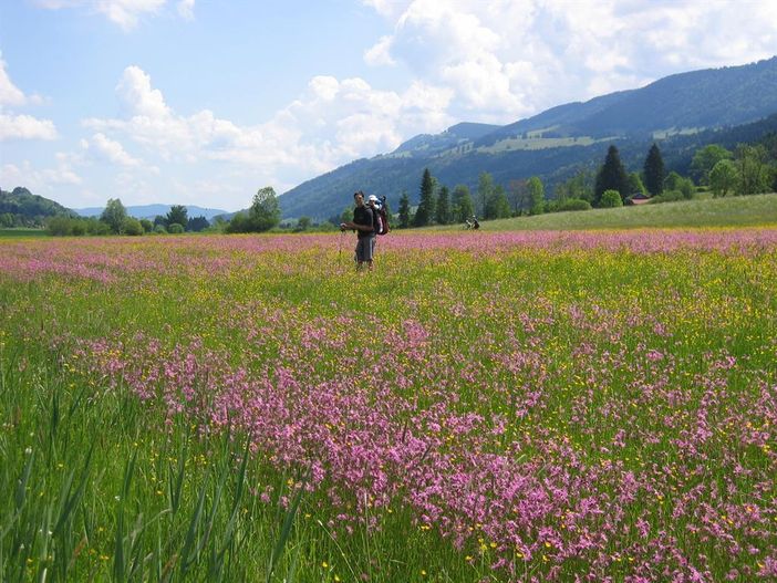 Frühling im Konstanzer Tal