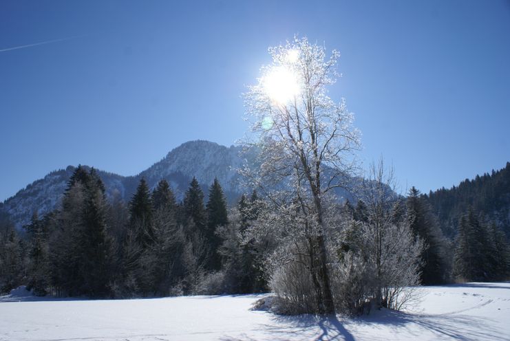 Schwansee-Runde