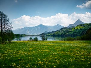 Füssen Tourismus und Marketing, David Terrey