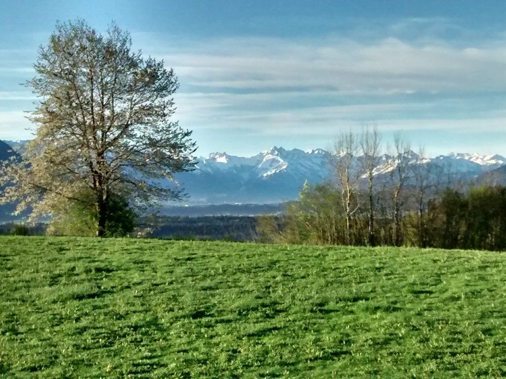 img_20190425_071143972_hdr