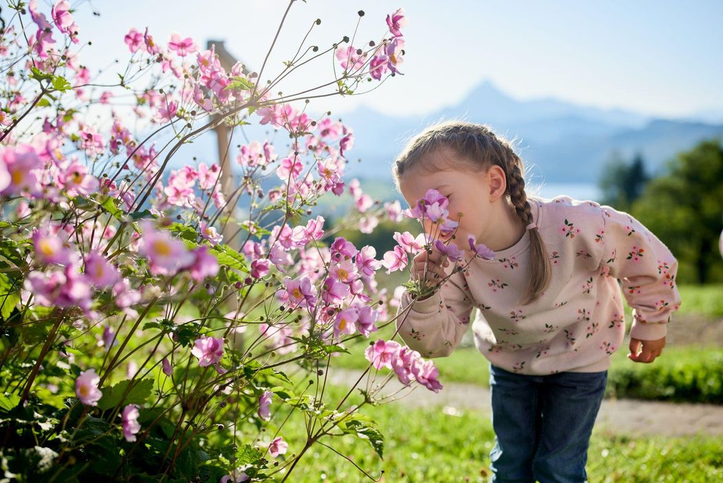 hmmm, die Blumen riechen gut