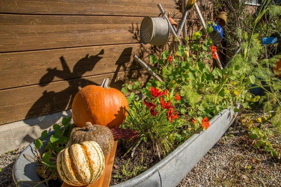 Herbstimpressionen