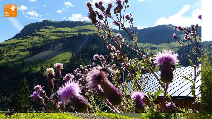 im Obertal