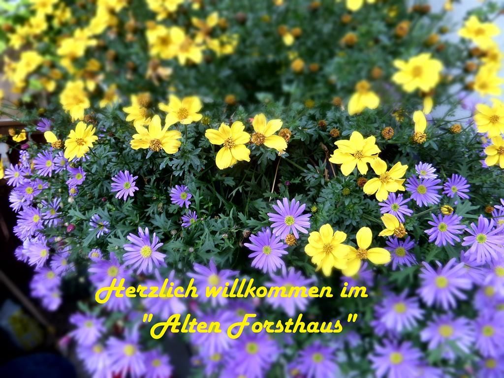 "Altes Forsthaus"