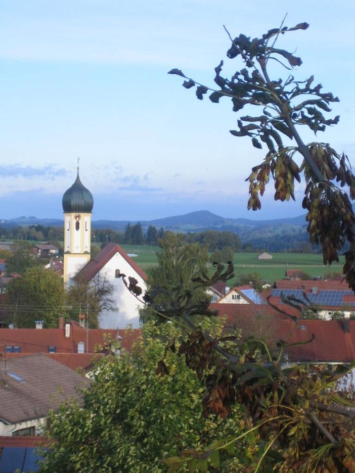 Leiten2