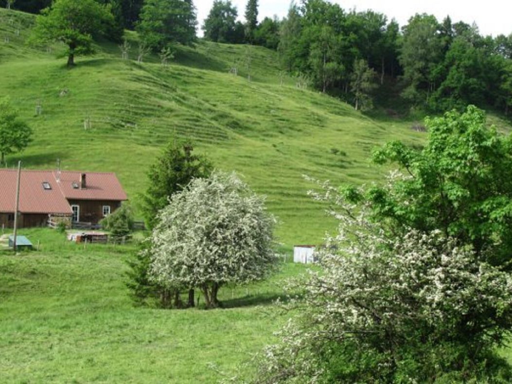 Kalvarienberg Stadtalpe