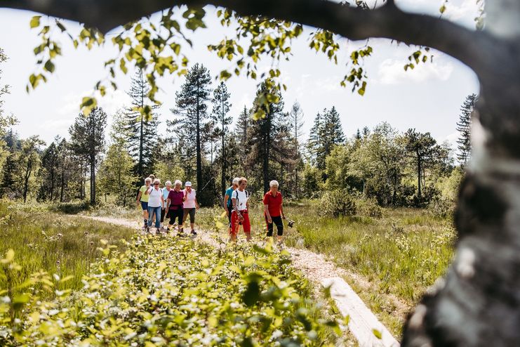 Wald & Wiese - aussichtsreich - Oberreute PWW