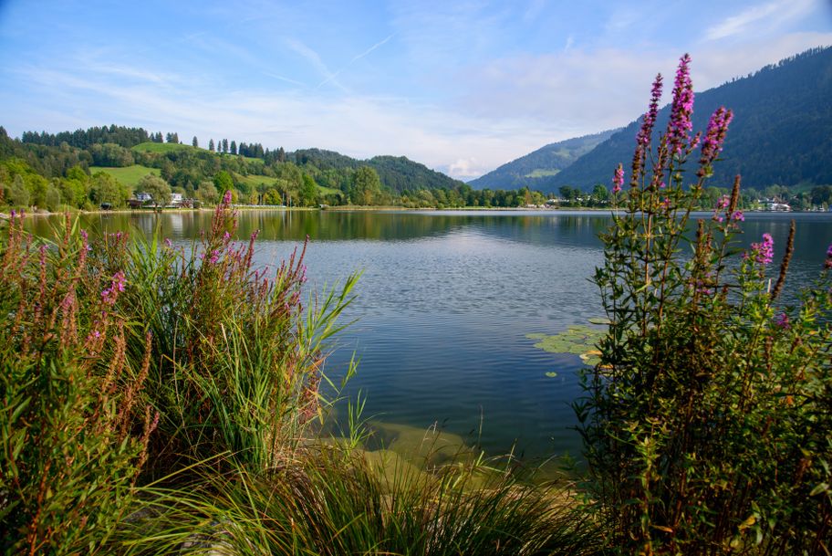 Alpseerunde – Baden und Wandern am größten Natursee des Allgäus