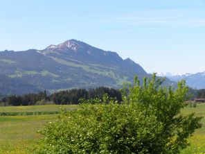 Blick von der Terrasse