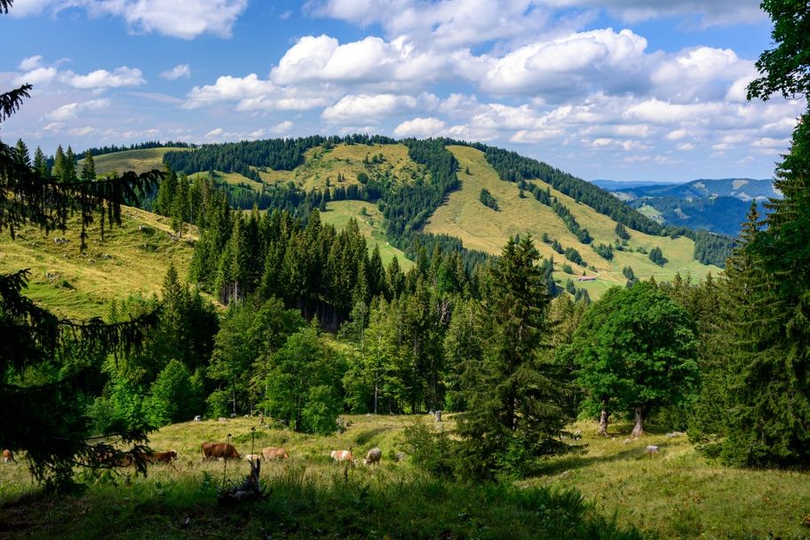 Vom Imberg durch das Häderichmoos - Moore und Alpen