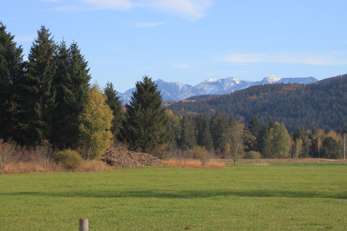 Sicht auf das Wiesleutener Moos