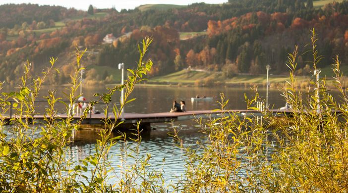 Abenteuersteg am Bühler Hafen