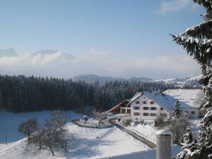 Unser Biobauernhof im Winter