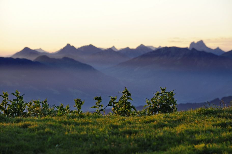 Blick von der Nagelfluhkette