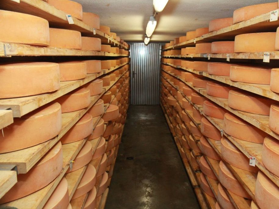 Eigene Hofkäserei mit Verkauf (Käse, Milch, Eier)