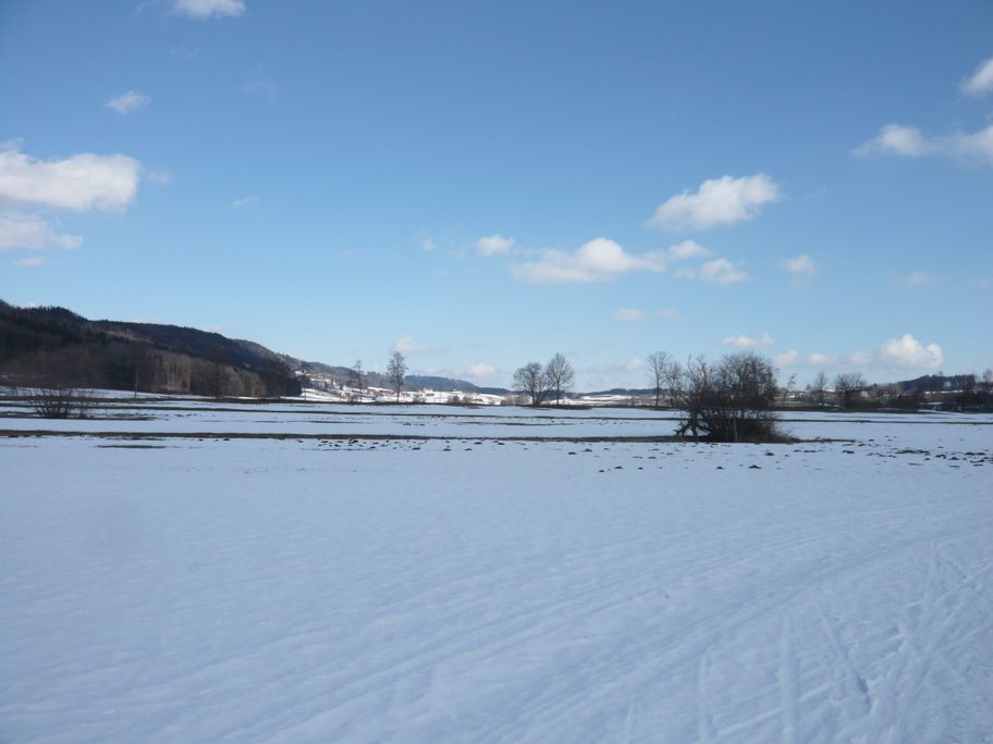 In Moosloipe, Blick nach Norden Richtung Wildpoldsried (1)