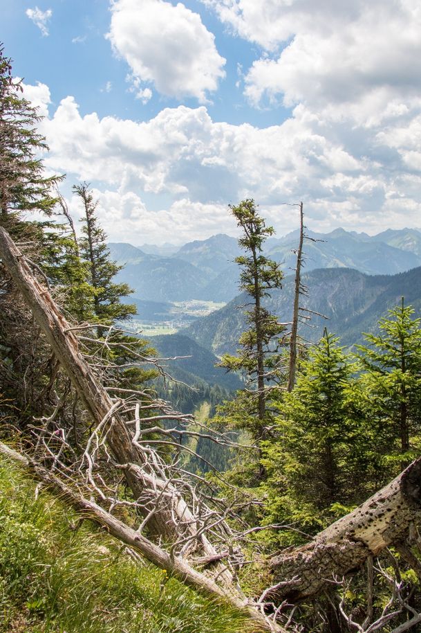 die Gipfel der Tiroler Alpen